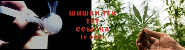 мяу мяу мука Гусев