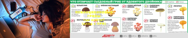 первитин Белокуриха