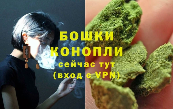 мяу мяу мука Гусев
