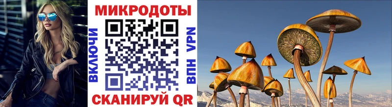 Псилоцибиновые грибы Psilocybine cubensis  это как зайти  кракен ССЫЛКА  Юрга  закладки 